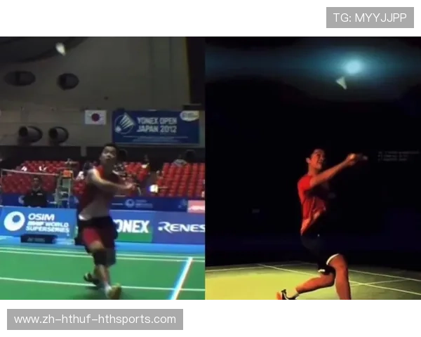 羽毛球陶氏打法