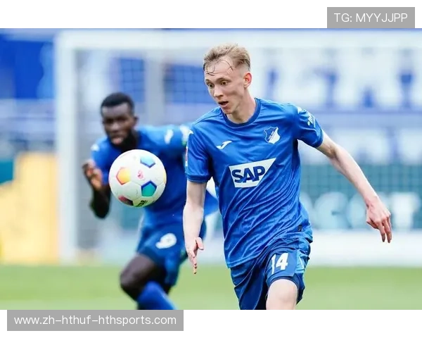 霍芬海姆足球俱乐部历史起源与德甲崛起之路探析